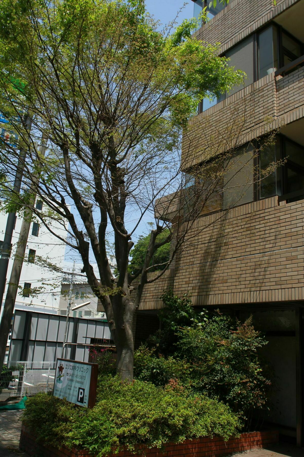 Guest House Dohei Kamakura Exterior foto